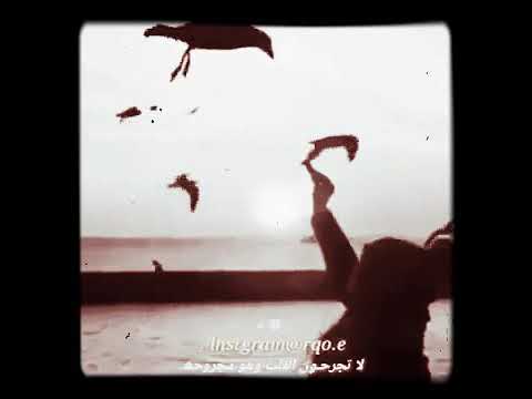 وصل سلامي يا طير خرافيه 