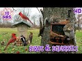 Birds  squirrels 10 hours uninterrupted  cat  dog tv and background ambience for work 
