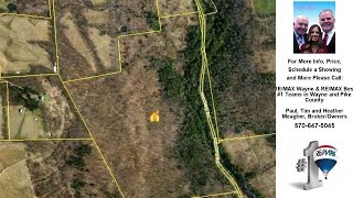 HATCHERY Rd, Pleasant Mount, PA Presented by RE/MAX Wayne & RE/MAX Best #1 Teams in Wayne and Pike