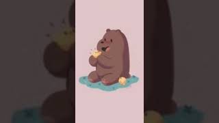 خلفيات كيوت الدببة الثلاثة🐻🐼🐻(شهاب🐻) part3