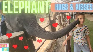 Elephant Hugs 'n Kisses | Thailand