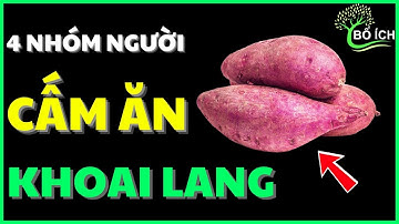 Bác Sĩ Cảnh Báo: 4 Nhóm Người Tuyệt Đối Cấm Ăn Khoai Lang - kênh sức khoẻ bổ ích