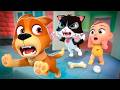 [KIDS SONG] Bingo is Home! New Puppy Friend + More Lalafun Nursery Rhymes