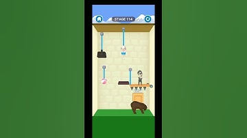 Rescue Cut Level 114