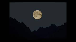 still of the night