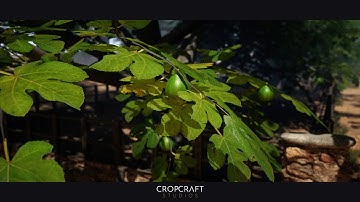 Unreal Engine 5 - Ultimate Farm Trees Asset Pack