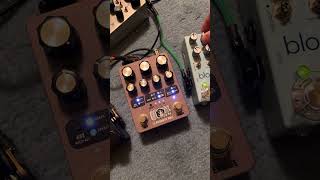 Electronic Audio Experiments Prismatic Wall: Taste Test 1