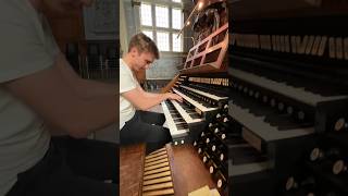 Toccata in d minor by J. S. Bach 😍 #organ #music #church