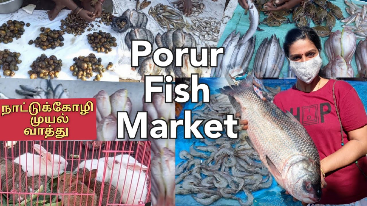 Chennai Porur Fish Market After Lockdown Wholesle Fish Market Live