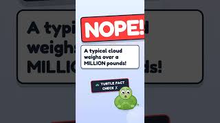 ☁️Todd Thinks Clouds are Weightless...Is She Right? #stem #science #learning #shorts