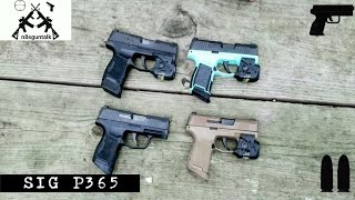 Sig P365 8,000+ Rounds & Multiple Sample Sets