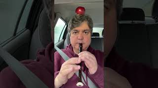 Optimism Your Feed Playlist - Miguel Plays Recorder (Red Sweater)