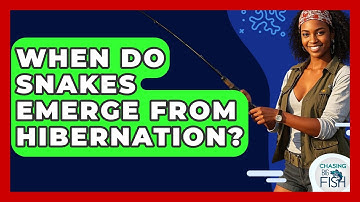 When Do Snakes Emerge From Hibernation? - Chasing Big Fish