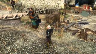 Witcher 3 walking NPC glitch