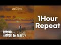 1시간 1Hour 임영웅 사랑은 늘 도망가 신사와 아가씨 OST Young Lady And Gentleman OST Part 2 가사 With Lyrics 1시간 1Hour 임영웅 사랑은 늘 도망가 신사와 아가씨 OST Young Lady And Gentleman OST Part 2 가사 With Lyrics