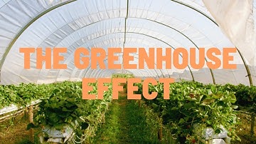 Greenhouse Effect