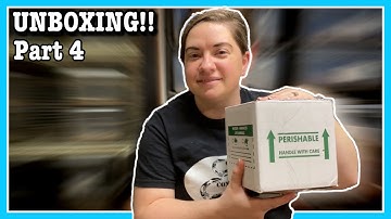 UNBOXING ANOTHER RECESSIVE FEMALE! Ball Python Unboxing | New Reptile Pickup | Part 4 (2021)