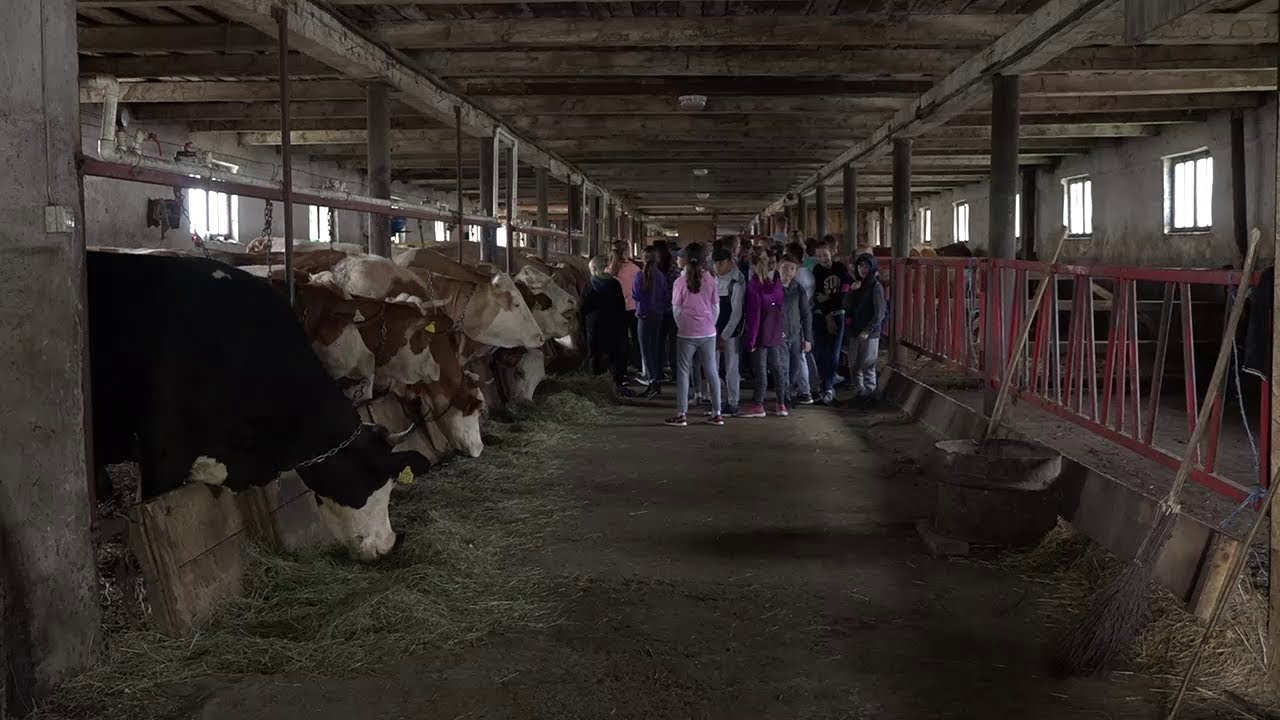 Rossz leheletű sinusitis A HALITOSIS OKA