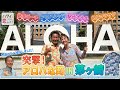 【突撃！】アロハな町 in 茅ヶ崎　ホノルル市と姉妹都市で市長に色々話を聞いちゃいました！