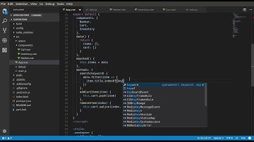 Vuejs in Bangla | বাংলা টিউটোরিয়াল | Lecture 17 | Search Inventory