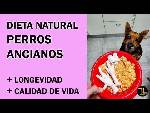 Video: Alimentando Al Perro Mayor