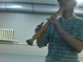 AVGN THEME (recorder alto)