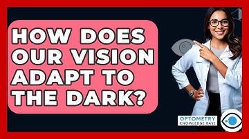 How Does Our Vision Adapt To The Dark? - Optometry Knowledge Base
