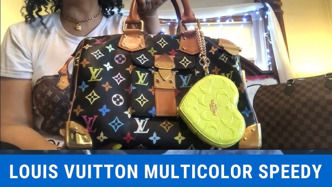 💖💛💙Louis Vuitton Multicolor Speedy 30💚💙💜
