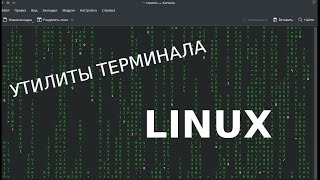 Утилиты терминала Linux | Линукс для начинающих  | Мини-обзор софта #1
