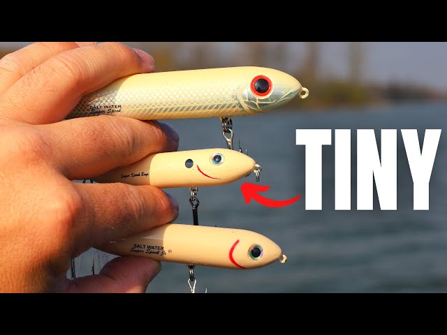 This New TOPWATER is Going to Be The Deal!! (SMALL but MIGHTY