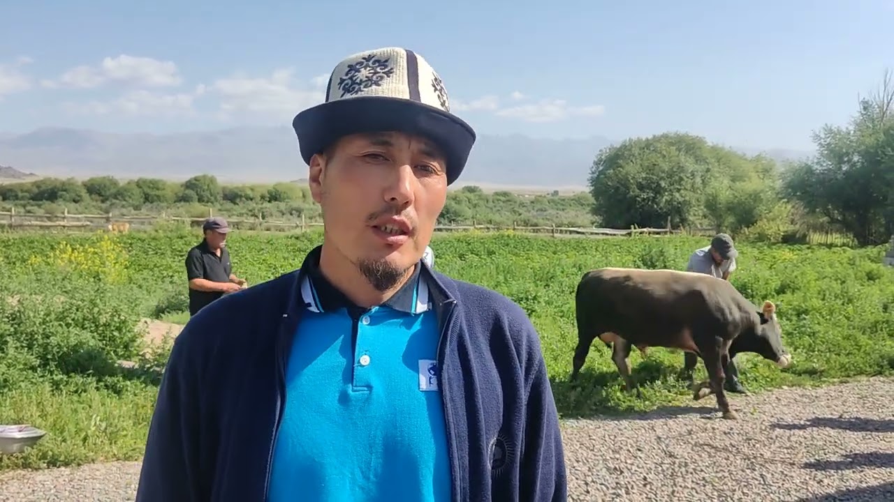 Курмандык Кочкор району Чолпон айылы. 15.07.2022