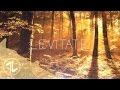 Levitate By FEWZ Music Channel