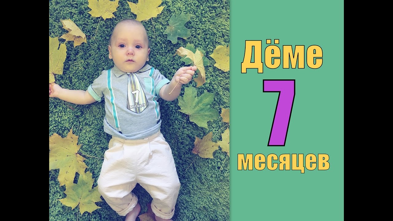 7 месяцев рф