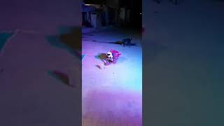 Sheetalta Saptami At Dodiyana2