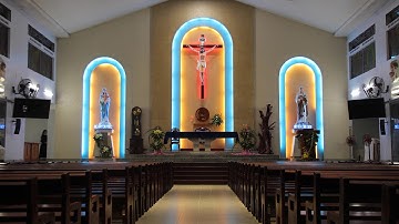 Gx Bình Chiểu - Một Năm Nhìn Lại (2017-2018)