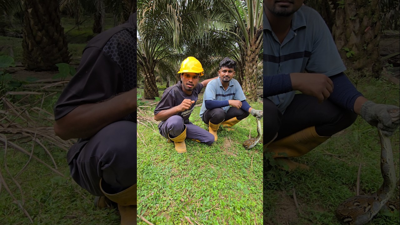 सांप पकड़ने वाले बाबा 