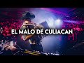 Alfredo Olivas - El Malo De Culiacan (Corridos 2024)