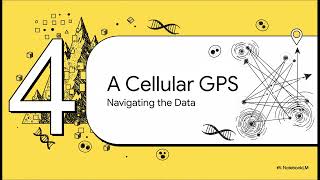 Single Cell Transcriptomics Net Worth