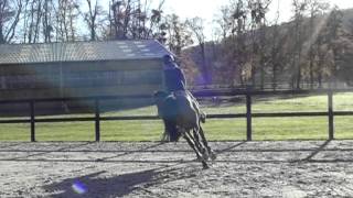 [20121202] Entraînement au Cerisier Bleu