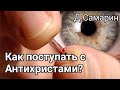 Как поступать с Еретиками? пример из проповеди Дениса Самарина МСЦ ЕХБ