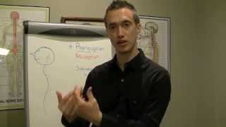 Full explaination of the science of Chiropractic