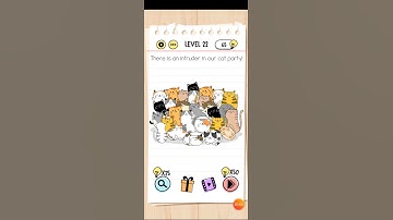 Brain Test level 22 There is an intruder in our cat party! Walkthrough