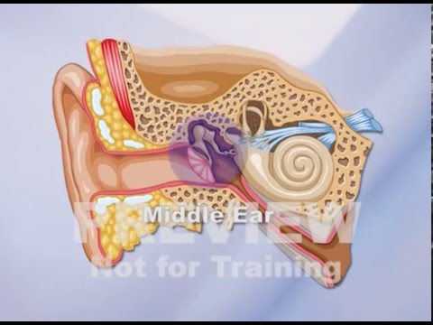 Perserverance Ear Eye Protection and Hearing Conservation - PREVIEW - YouTube