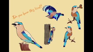 Do you know this bird known unknown facts about Indian Roller bird for kids/Nature show kids
