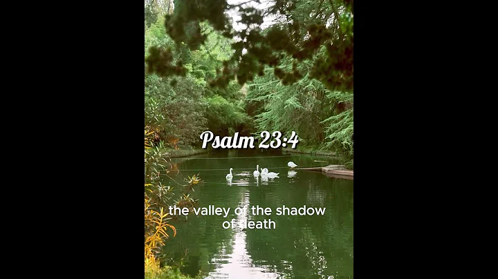 Psalm 23:4  #motivation #bibleverse #hopeandfaith #hopeandencouragement #love #faithfilledinsiration
