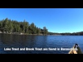 Bonnechere Lake, Algonquin Park