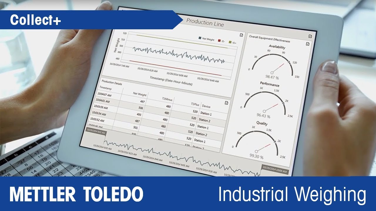 Mettler Toledo Weighbridge Software