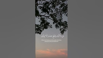 #سورة_البقرة ٢٥٥ اية الكرسي #qurancover #quran #explore