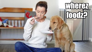 Eating Invisible Food In Front Of My Dog