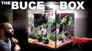 The Buce Box All In One Shrimp Cube Aquarium